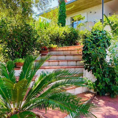 Villa In Collina Vista Mare ロゼート・デッリ・アブルッツィ エクステリア 写真