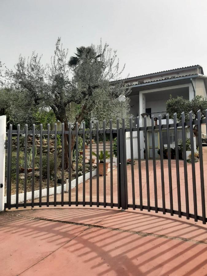 Villa In Collina Vista Mare ロゼート・デッリ・アブルッツィ エクステリア 写真