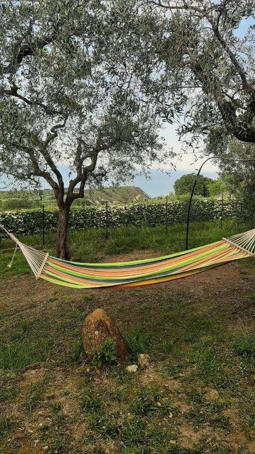 Villa In Collina Vista Mare ロゼート・デッリ・アブルッツィ エクステリア 写真