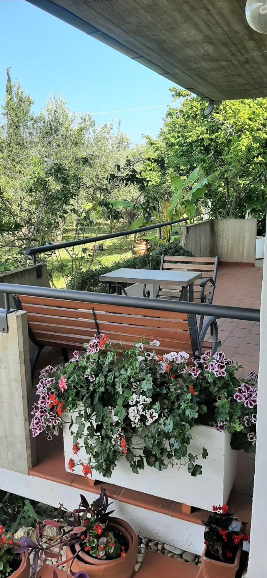 Villa In Collina Vista Mare ロゼート・デッリ・アブルッツィ エクステリア 写真